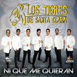 Ni Que Me Quieran