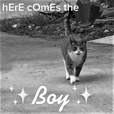 Here Comes the Boy