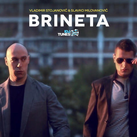 Brineta