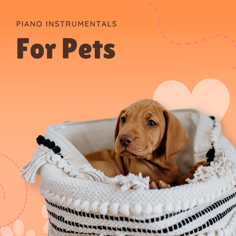 Piano Instrumentals For Pets