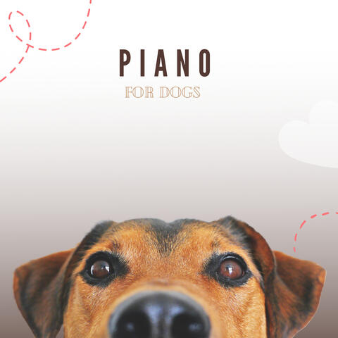 Piano For Dogs