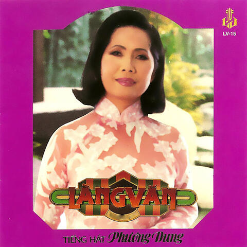 Nửa Đêm Ngoài Phố