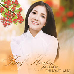 Xin Thời Gian Ngừng Trôi