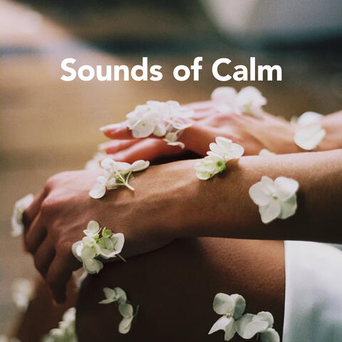 Sounds of Calm