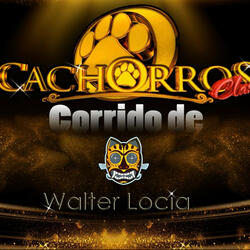 Corrido de Walter Locia