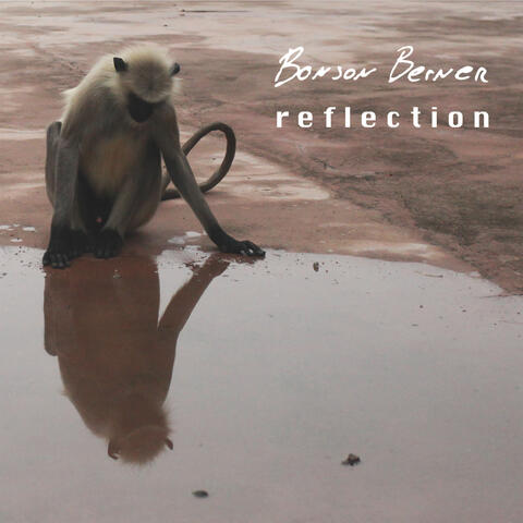 Reflection