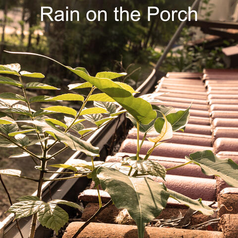All Rain