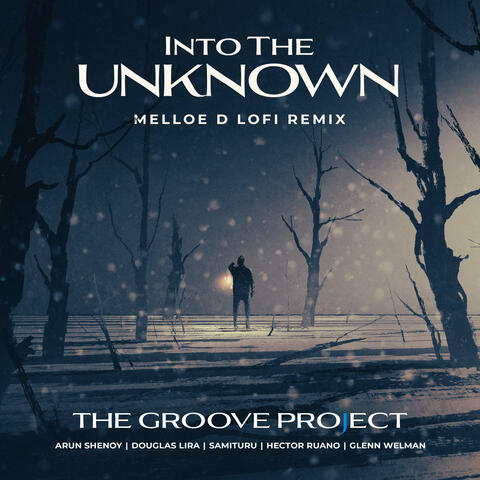 Into The Unknown (Melloe D LoFi Remix)