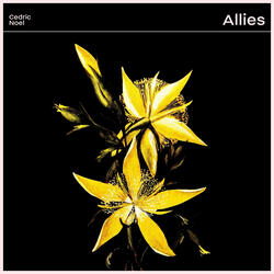 Allies