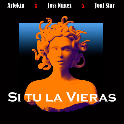 Si tú la vieras