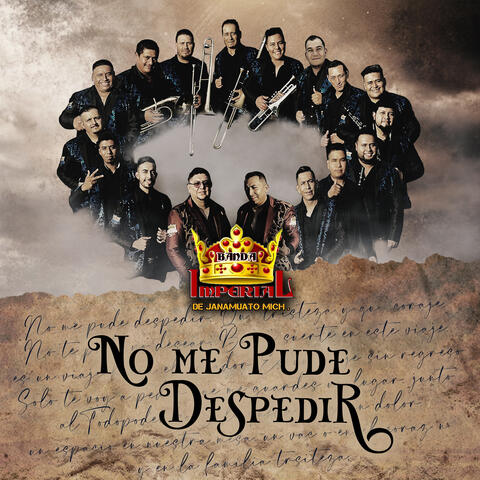 No Me Pude Despedir