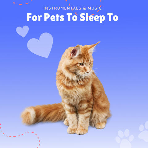 Instrumentals & Music For Pets to Sleep To