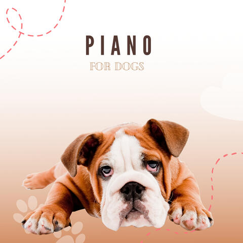 Piano For Dogs