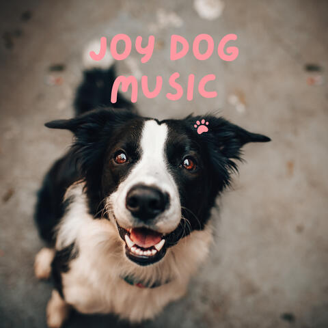 Joy Dog Music