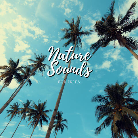 Nature Sounds For Sleep