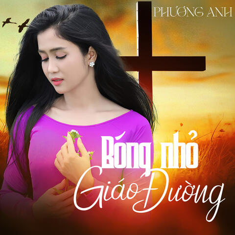 Bóng Nhỏ Giáo Đường