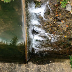 Contemplation I