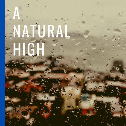 Rain Sounds Calming White Noise
