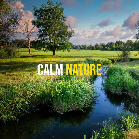 Calm Nature