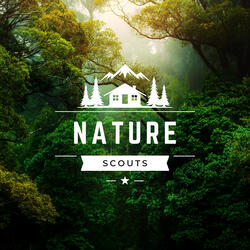 Discovering Wild Nature