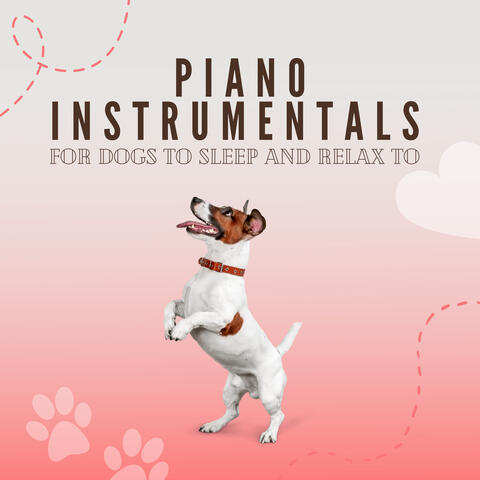 Piano Instrumentals for Dogs to Sleep and Relax to