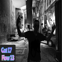 Flow 13