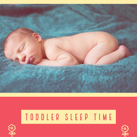 Toddler Sleep Time