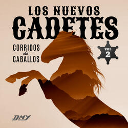 Mi Caballo Pobre