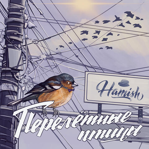 Перелётные птицы