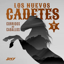 Caballo Prieto Azabache
