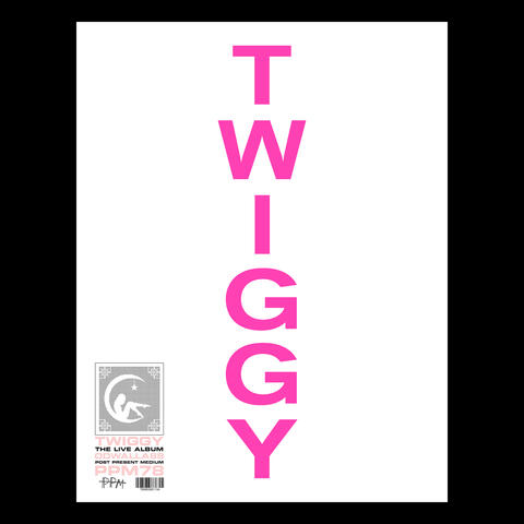 Twiggy