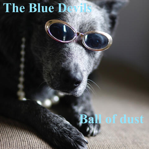 Ball of Dust