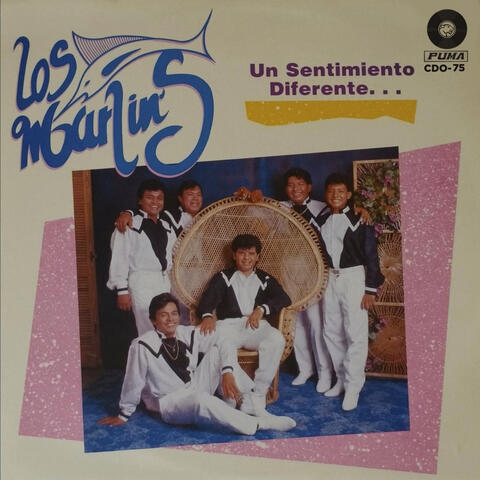 Un Sentimiento Diferente