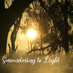 Surrendering to Light, Pt. 2