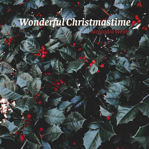 Wonderful Christmastime