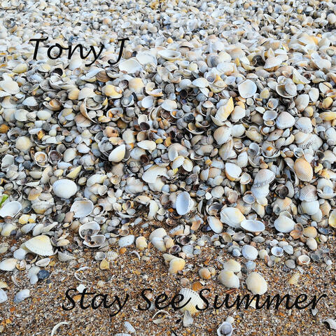 Stay See Summer