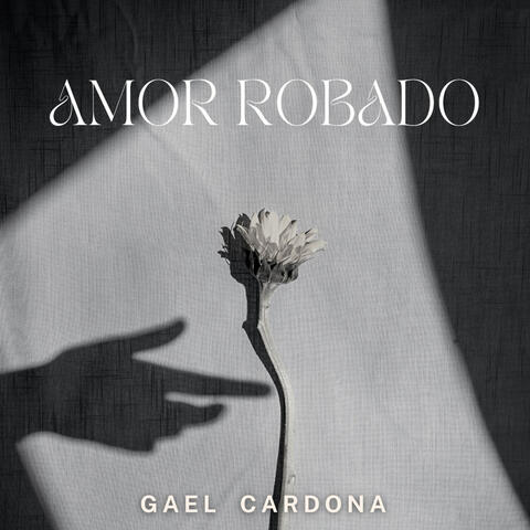 Amor Robado