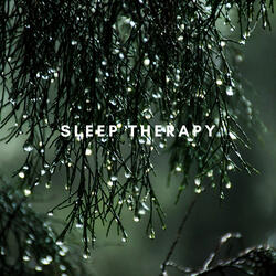 Sound Of Rain
