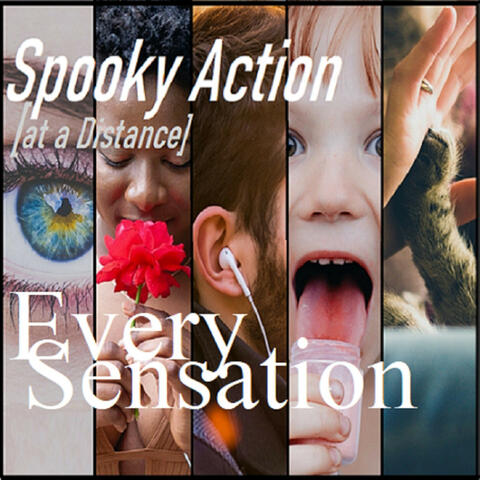 Every Sensation