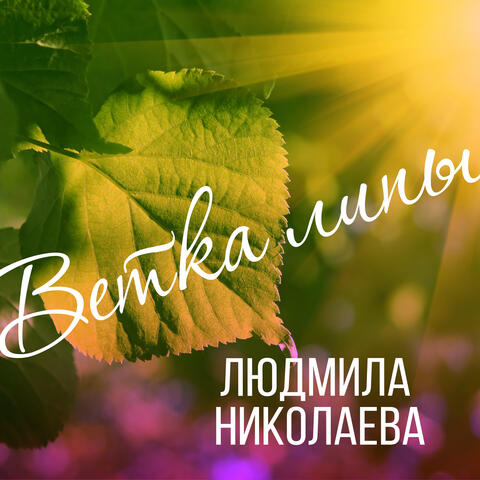 Ветка липы