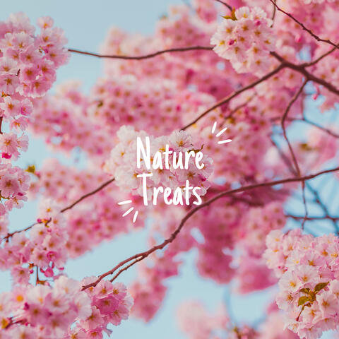 Mother Nature Clear Pink Sky