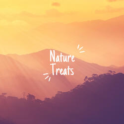 Peaceful Rain Sounds