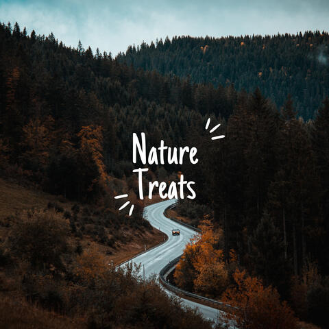 Undiscovered Forest Trails