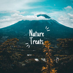 Spring Birds In The Afternoon