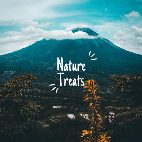 Mother Nature - Birds Sounds