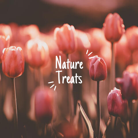 Summer Forest Glow Up