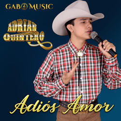 Adiós Amor