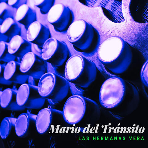 Mario del Tránsito