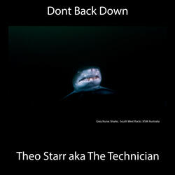 Dont Back Down