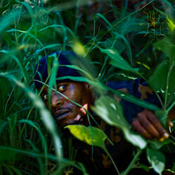 Twala (Demo Version)